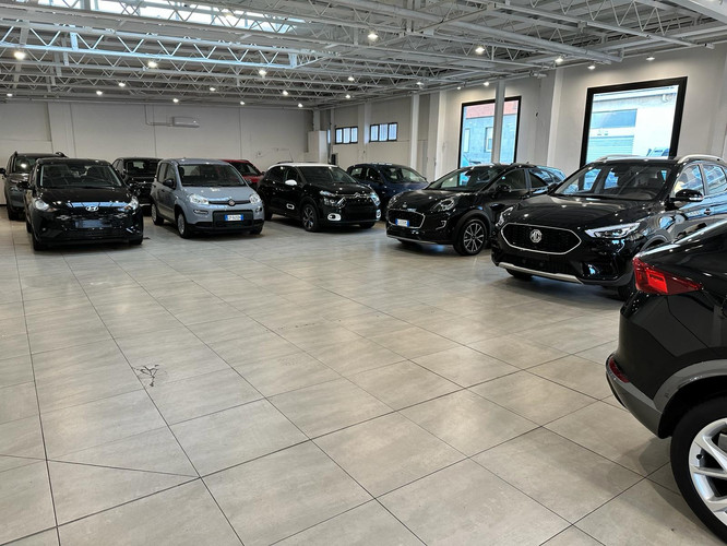 dealer showroom